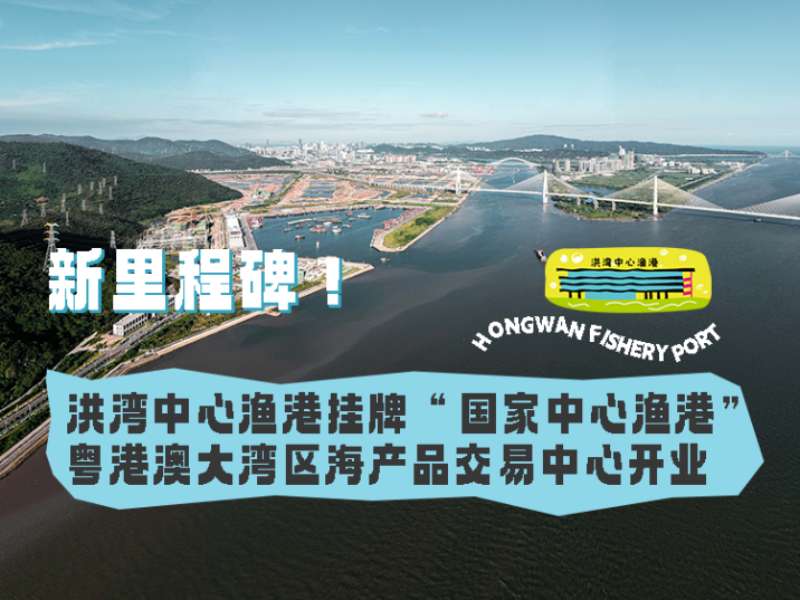 新里程碑！洪灣中心漁港掛牌“國(guó)家中心漁港”， 粵港澳大灣區(qū)海產(chǎn)品交易中心開業(yè)